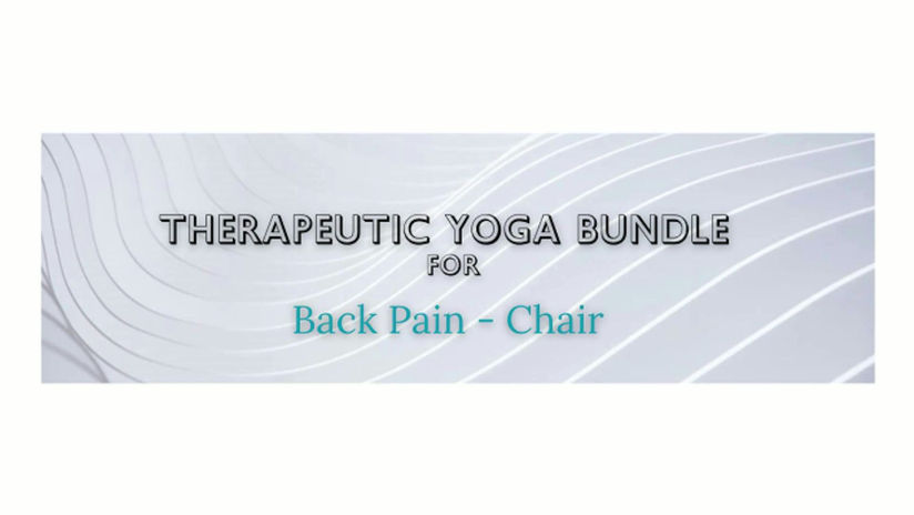 Back Pain- Chair Bundle